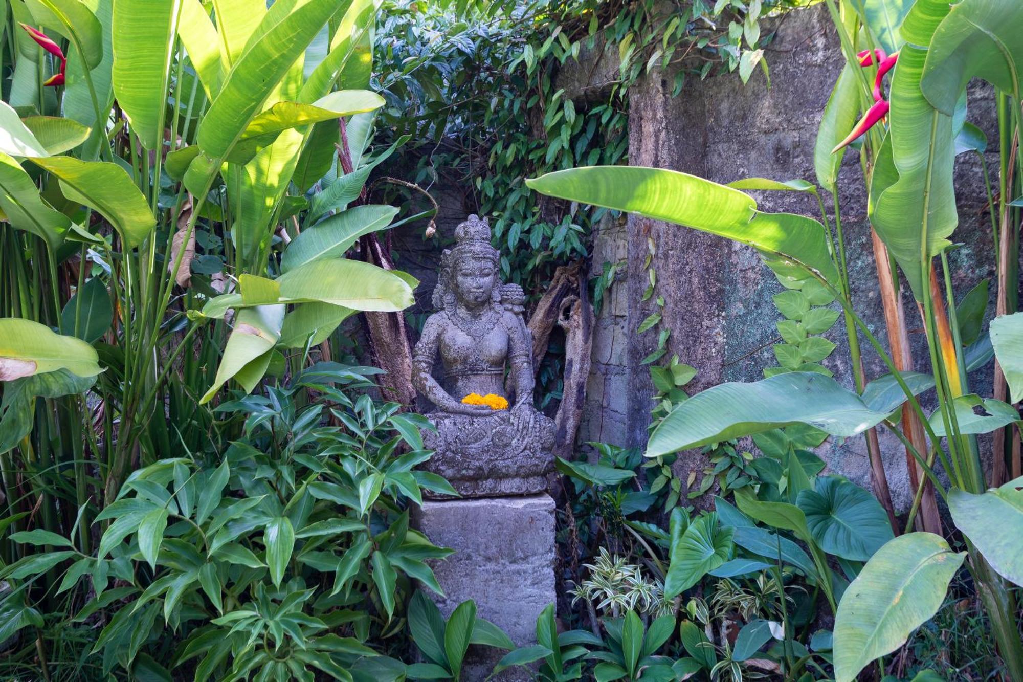Pina Bed & Breakfast Ubud