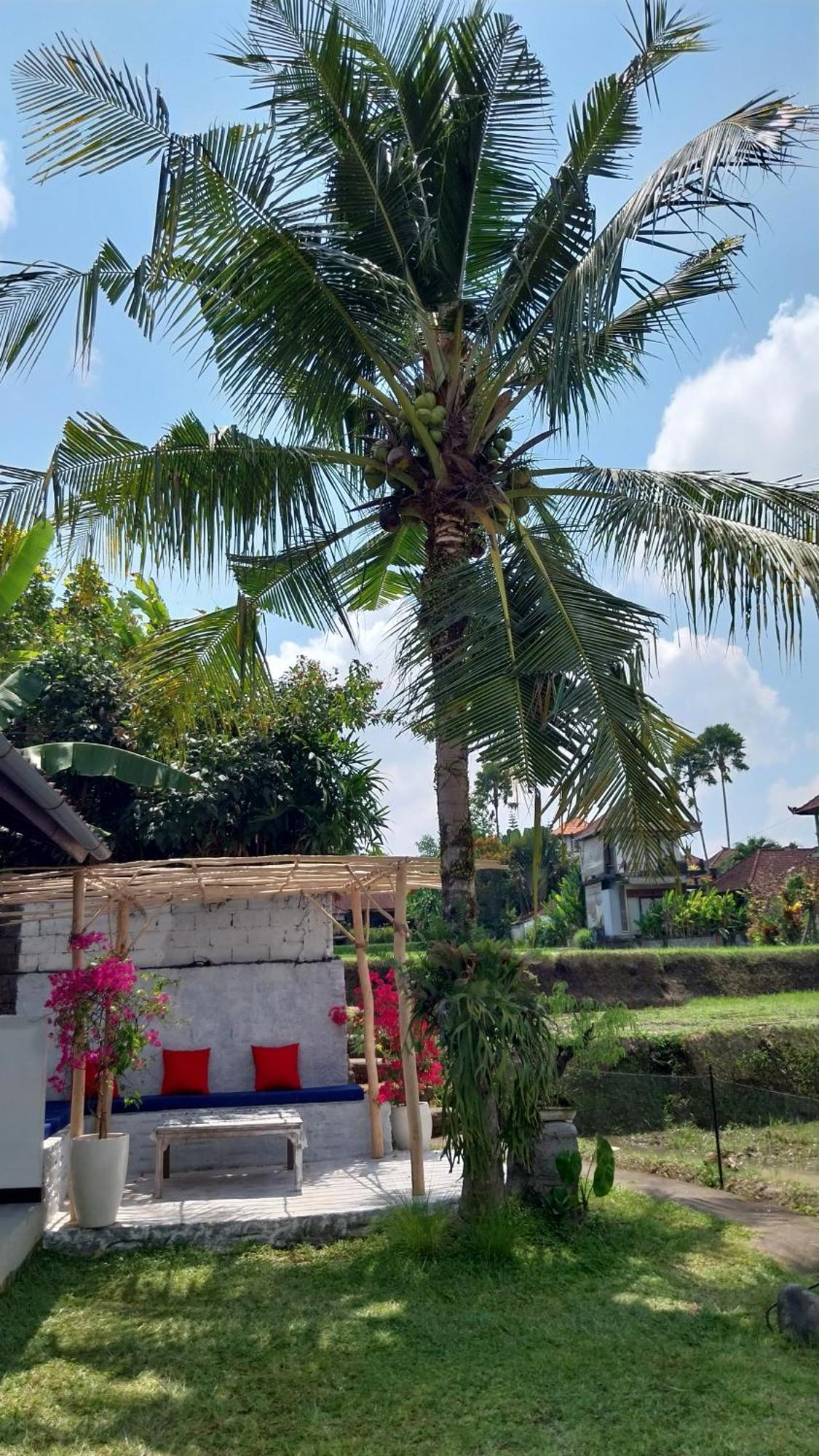 Pina Bed & Breakfast *